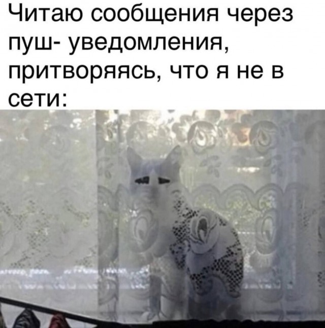 Картинки для деградации 276 (разной степени свежести)