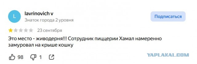 Живого котёнка замуровали в крыше пиццерии в Москве