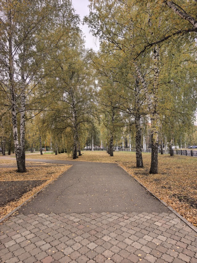 Все краски осени