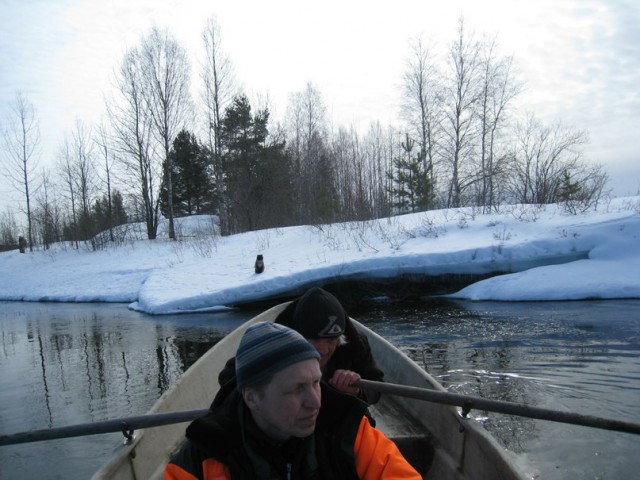 Котовторник 01.04.2014