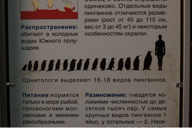 Специально не придумаешь!