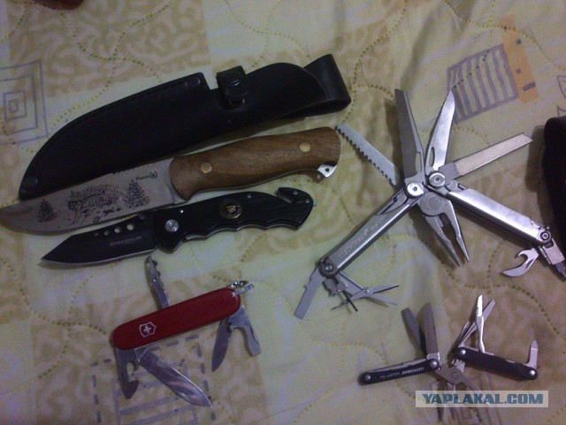 На острие ножа