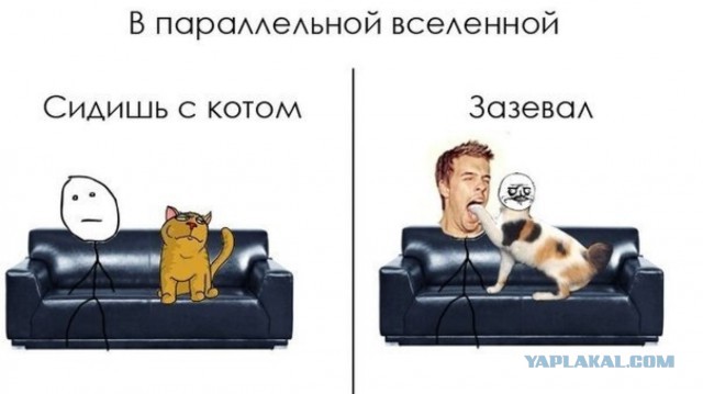 9 картинок из параллельной вселенной