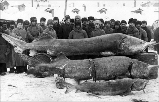 Немного интересных исторических фот