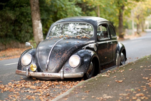 Занимательные и смешные фотографии