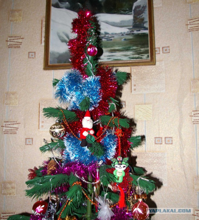 Пирог раздора