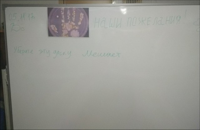 Подборка интересных и веселых картинок