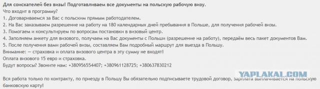 В петербургском метро вооруженные мужчины ранили пассажиров в вагоне