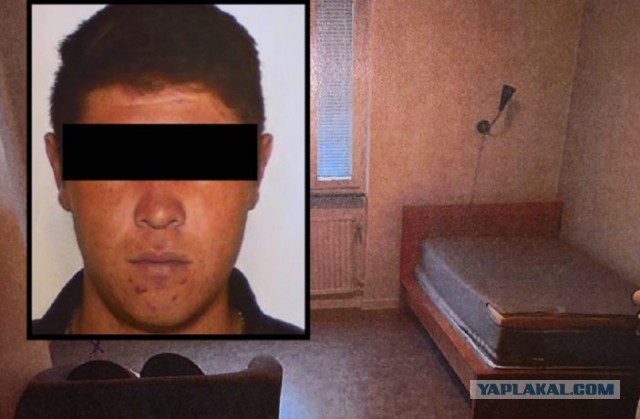 В Швеции женщину, которая поддерживала кампанию против депортации мигрантов, изнасиловали два афганских подростка