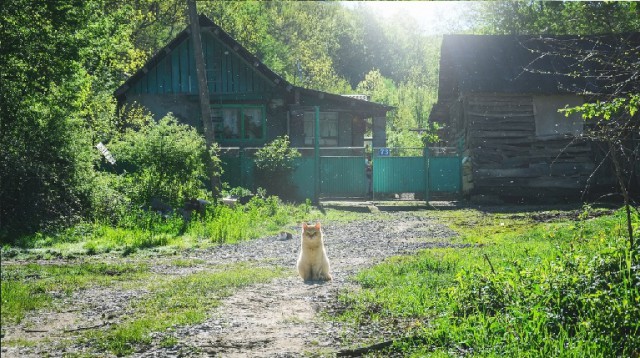 Калейдоскоп Картинок