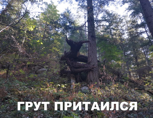 Нестандартный юмор