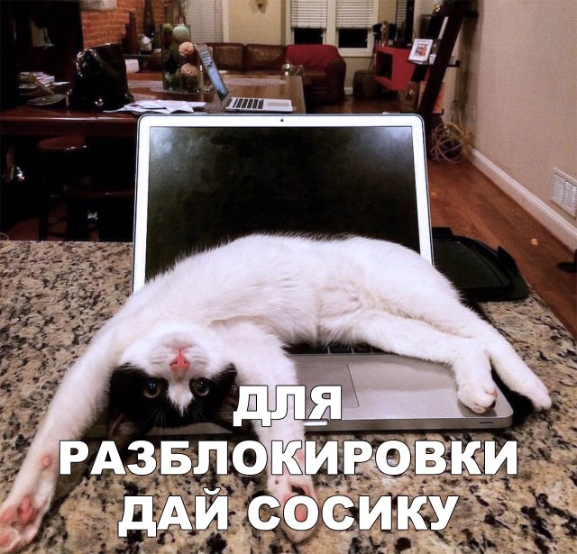 Немного милоты