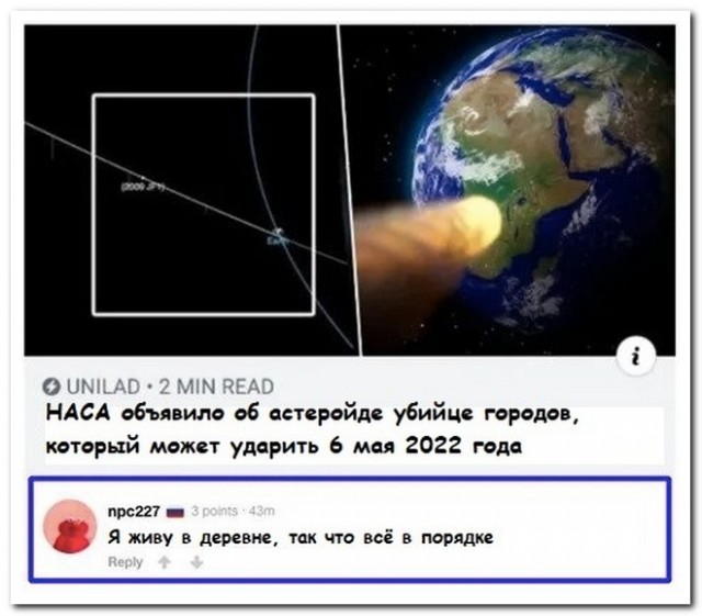 Забавные комментарии из социальных сетей 26.11.19