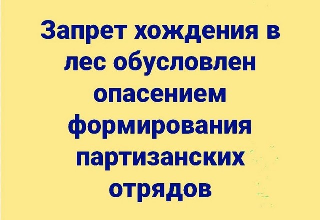 Чуток картинок 12.04.20