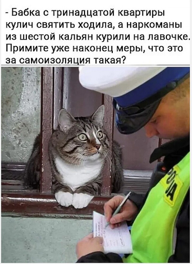 Бредзона 22.04.20