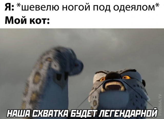 Немного картинок для настроения 27.08.20