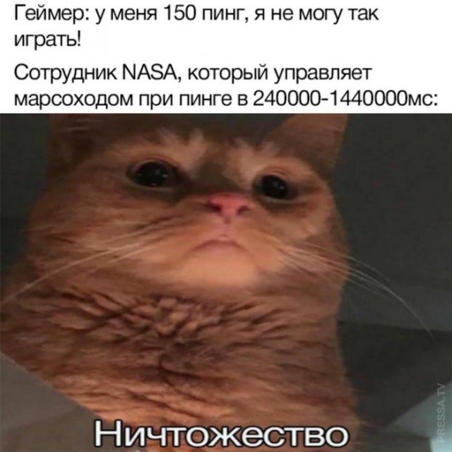 Мем воняешь слабостью с котом