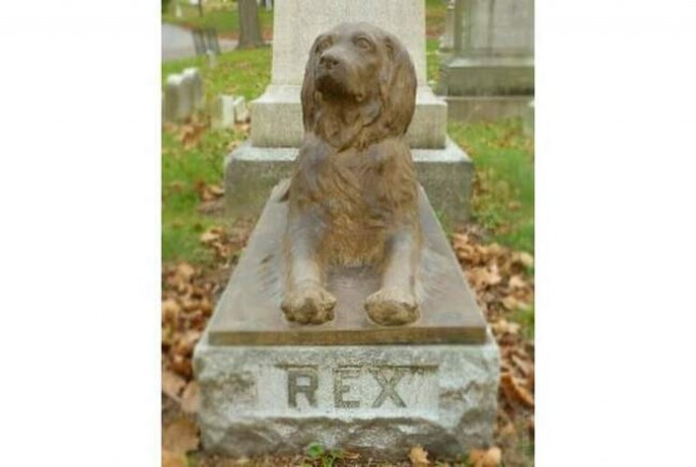 Почему люди более века приносят деревянные палки на могилу псу Рексу на кладбище в Бруклине
