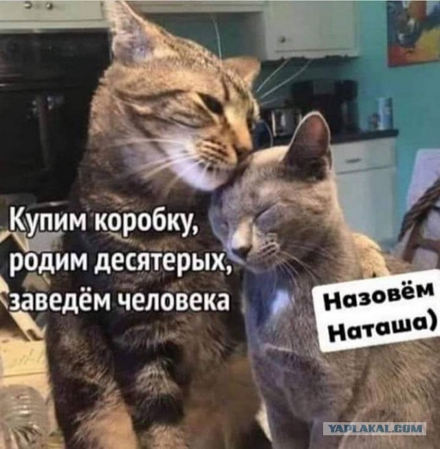 Бредзона 08.12.2020