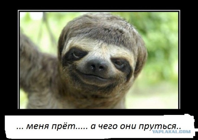 Таксидермия + наркомания