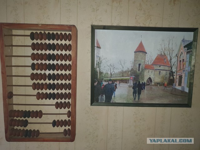Весёлый полтишок 26.02
