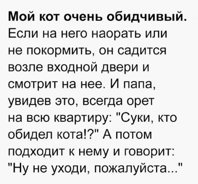Картинки и мемы для настроения