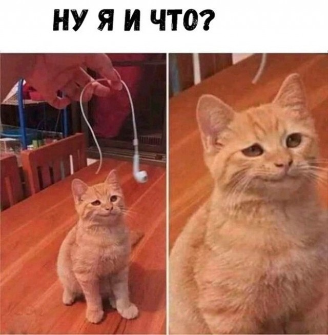 Баянисто-небаянистый юмор 30.03.22