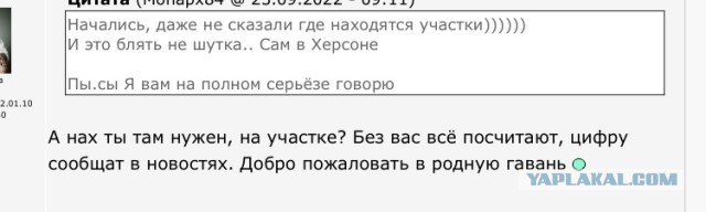В ДНР, ЛНР, Херсонской и Запорожской областях начались референдумы