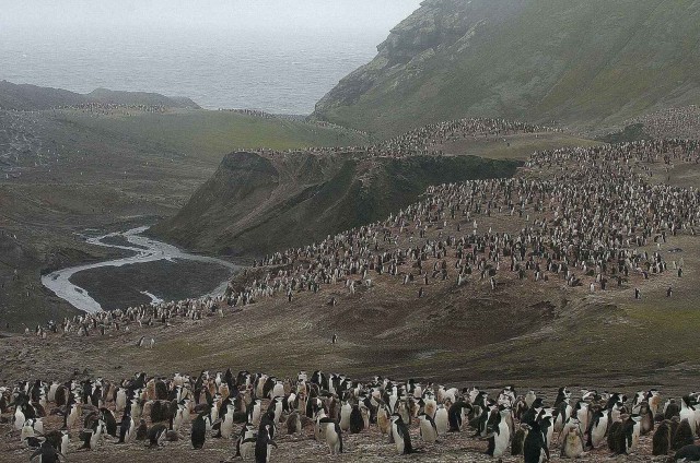 Северный ледовитый океан