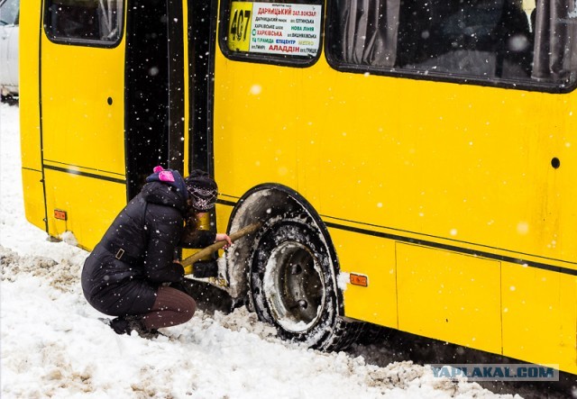 23 марта. Киев. Весна.