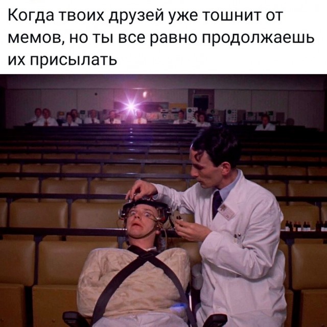 Весёлый полтишок 08.05.23