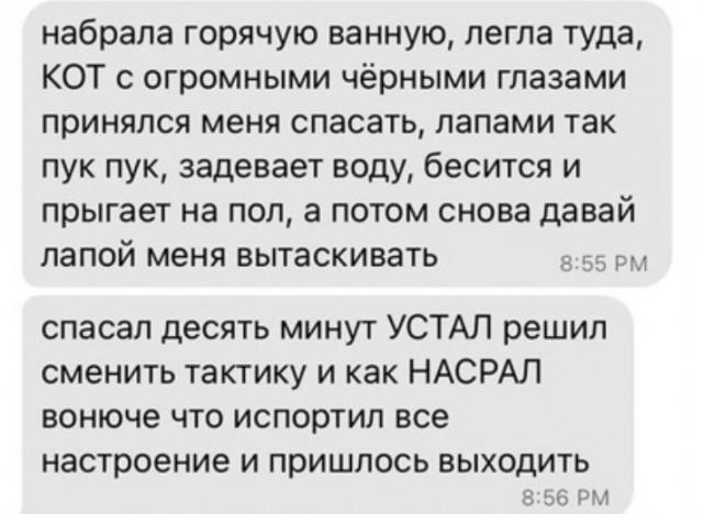 Всего понемногу. От 21.01.24