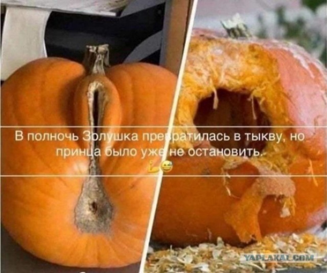 Баяны со старого телефона. Часть вторая