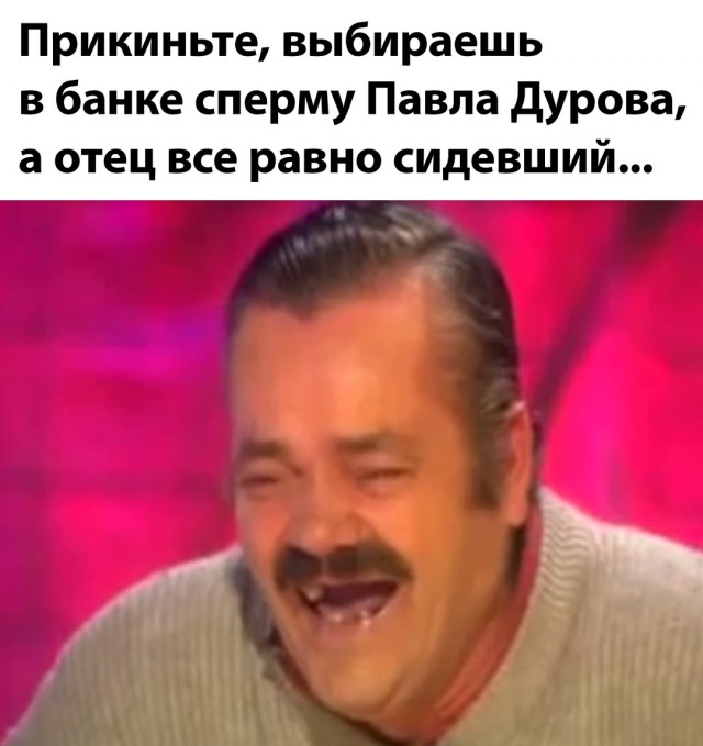 Весёлый полтишок 27.08.24