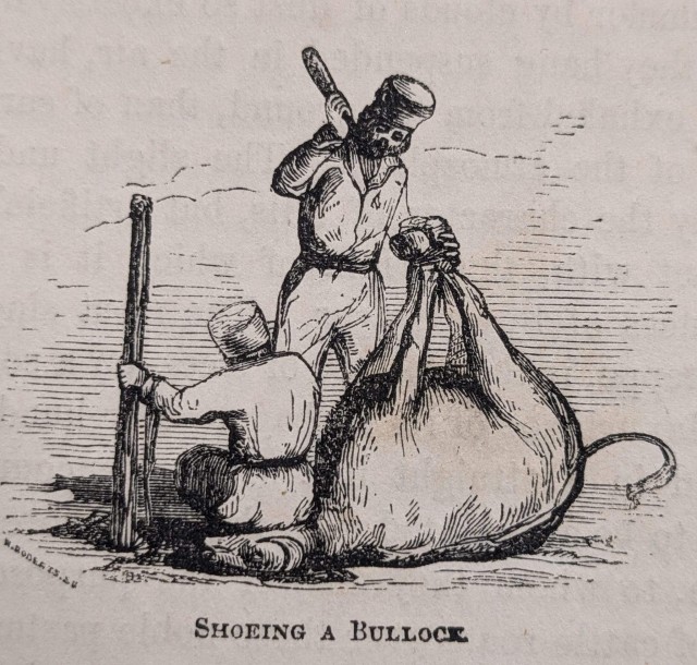 Российская империя 1855 год
