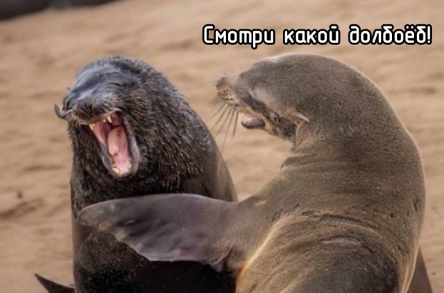 Как прочистить трубу в бане