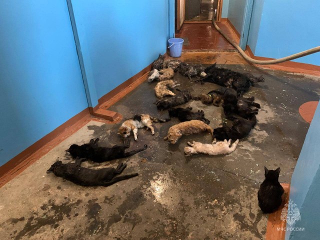 Когда людям не всё равно