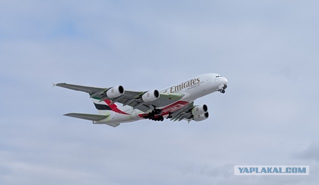 Залипалово. Сядет или нет?