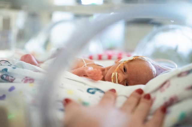 Есть ли сознание до рождения.