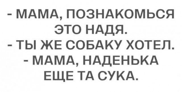 Так себе картинки 29.04.25