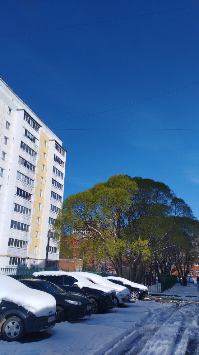 Красота родных краев