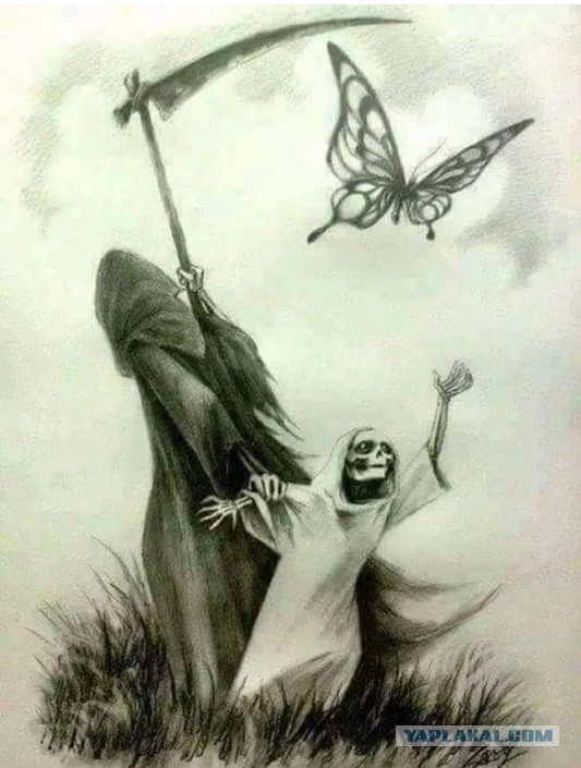 Жизь и смерть