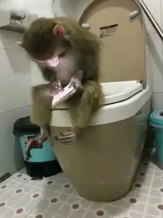 Любителей ходить в туалет с телефоном предупредили