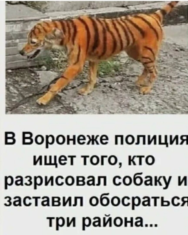 Картинки для деградации 43 (разной степени свежести)