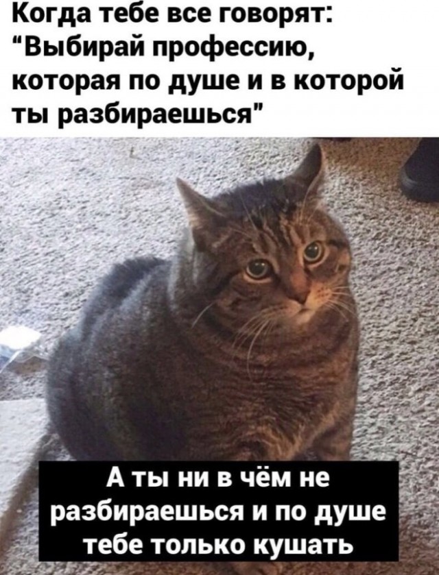 Картиночки, баянчики 02 февраля