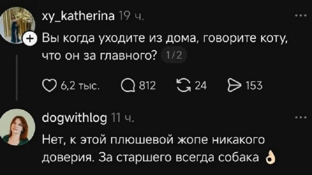 Так себе картинки 30.06.26