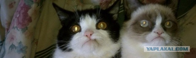 Уделите нам внимание