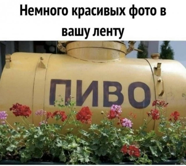 Быть дегенератом не только весело, но и полезно