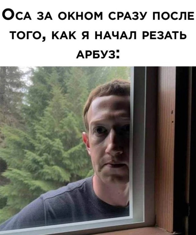 Веселые картинки в пятницу 07.08