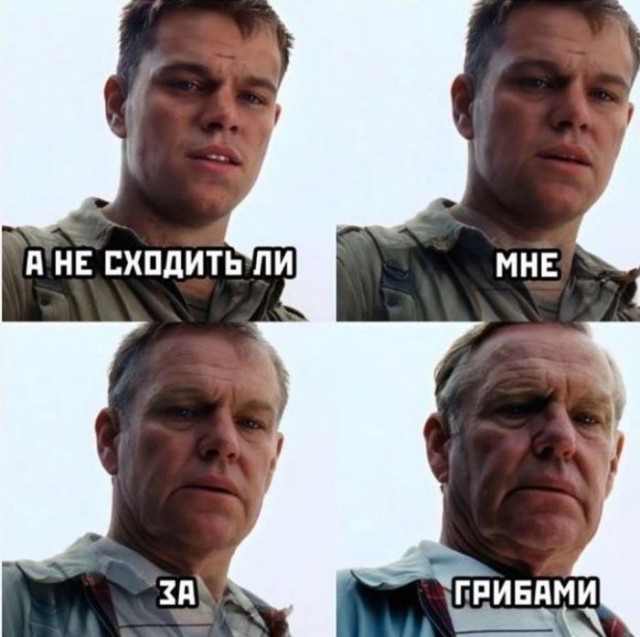 Картинки для деградации 292 (разной степени свежести)